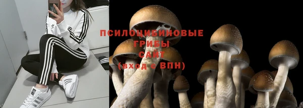 СК Костерёво