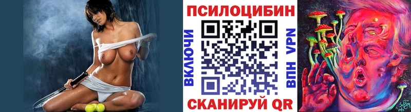 купить   Новая Усмань  Галлюциногенные грибы GOLDEN TEACHER 